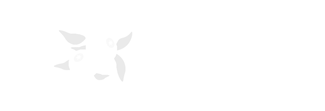 Evento Feira do Mirtilo